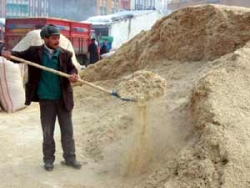 Üç ülke Erzurum'dan saman alıyor