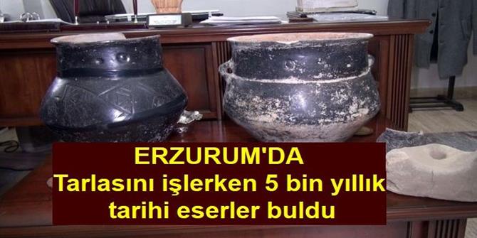 Tarlasını işlerken 5 bin yıllık tarihi eserler buldu