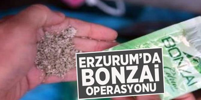 Erzurum’da 1 kilogram bonzai ele geçirildi