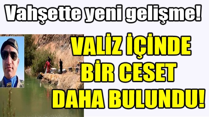 Vahşette yeni gelişme! Valiz içinde bir ceset daha bulundu