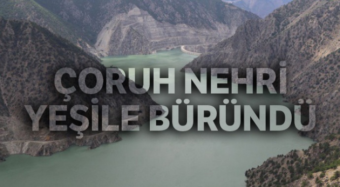 Çoruh nehri yeşile büründü