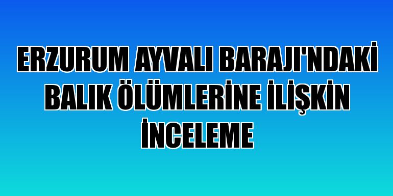 Ayvalı Barajı'ndaki balık ölümleri