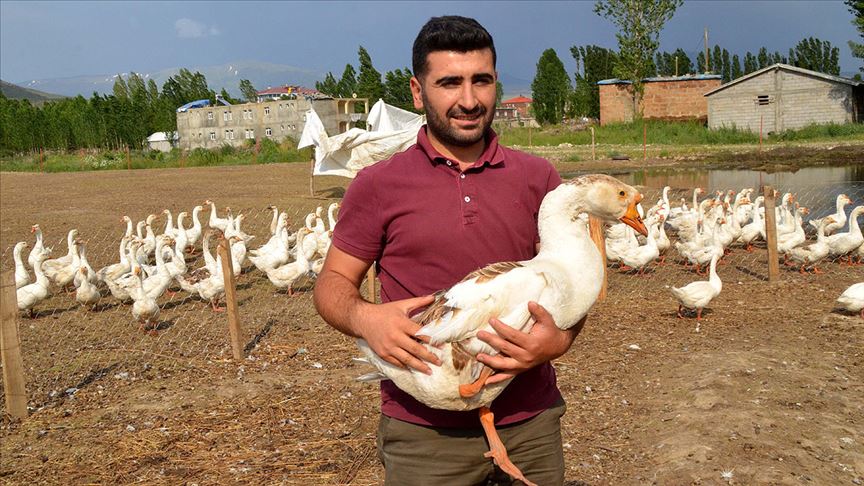 Kaz çiftliği hayalini devlet desteğiyle gerçekleştirdi