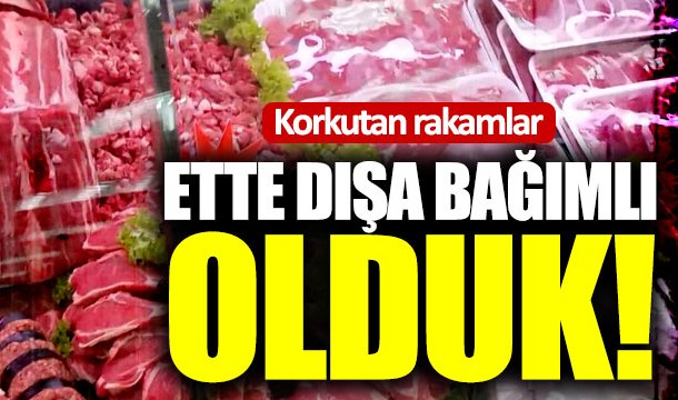 Ette dışa bağımlı olduk!