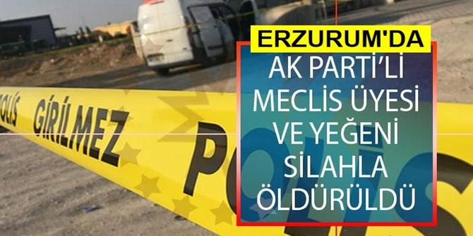 AK Partili meclisi üyesi ve yeğeni silahla öldürüldü