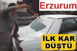 Mevsimin ilk karı!