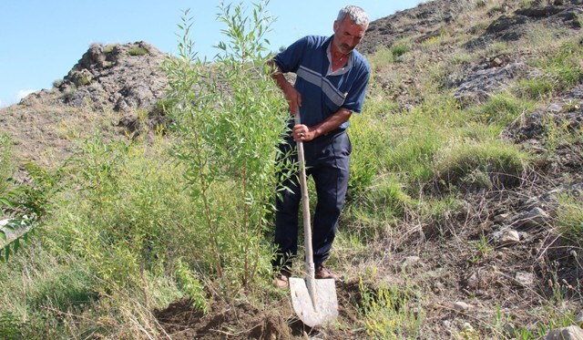 Taş üstünde fidan yetiştirip erozyonu önlüyor