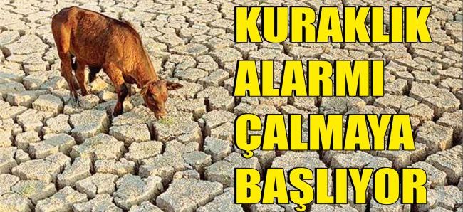 Erzurum, Ağrı, Kars ve Iğdır için kuraklık alarmı