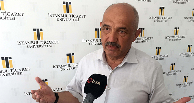 Prof. Ilıcalı: 'köprüler de, bakım onarıma da karşı çıktılar'