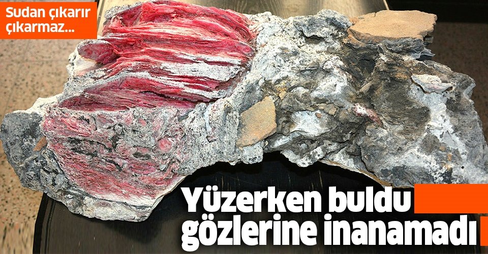 Datça'da yüzerken bulmuş ve gözlerine inanamamıştı!