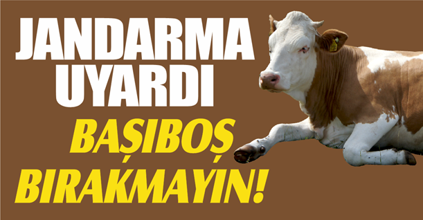 Jandarma vatandaşları hayvan hırsızlığına karşı uyardı