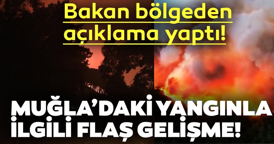 Muğla'daki yangınla ilgili Bakan Pakdemirli'den açıklama