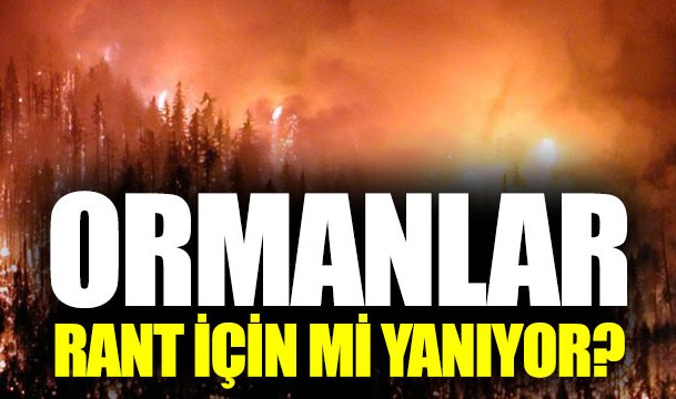 Muğla’da ormanlar rant için mi yakılıyor