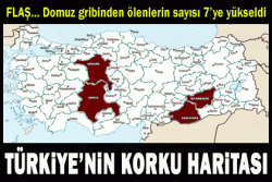 Domuz gribinden 9. ölüm!..