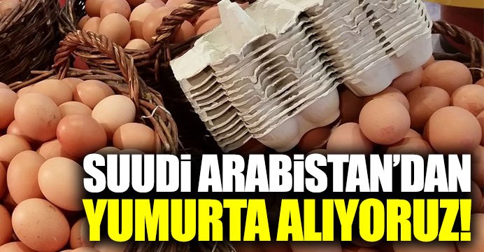 Suudi Arabistan'dan yumurta alıyoruz