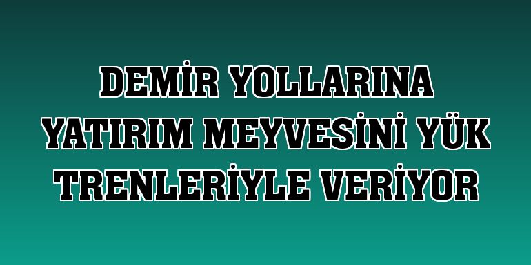 Demir yollarına yatırım meyvesini yük trenleriyle veriyor