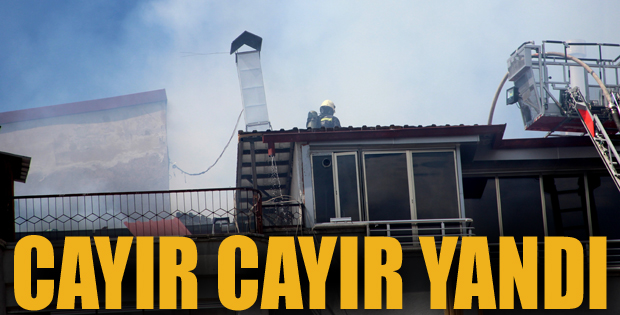 Erzurum'da yangın