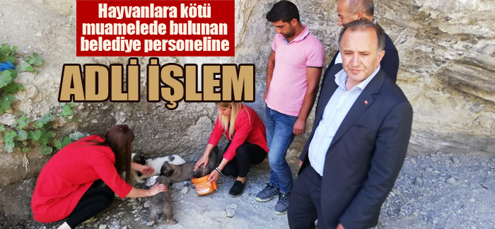 Hayvanlara kötü muamelede bulunan belediye personeline adli işlem