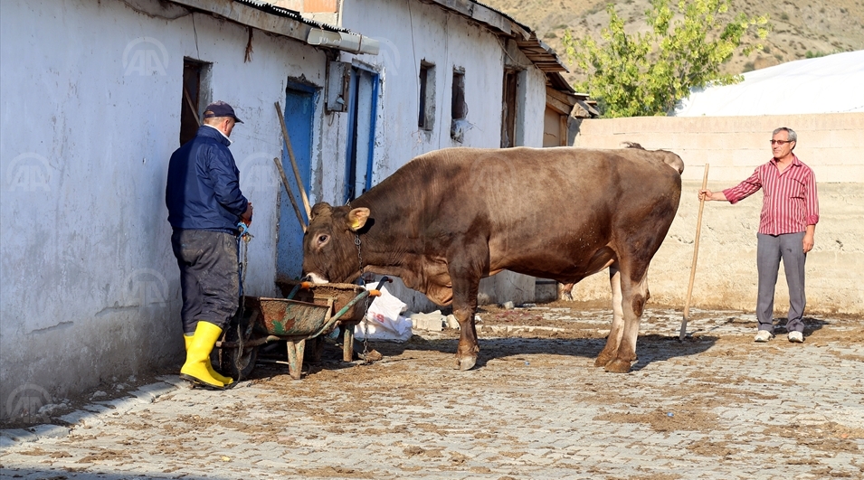 Bir tonluk "Şimşek" alıcısını bekliyor