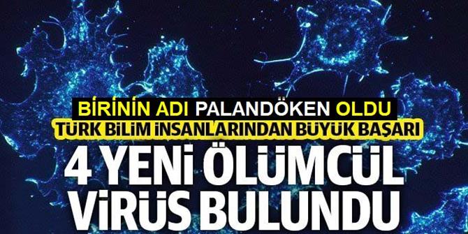 Türk bilim insanları 4 ölümcül virüs keşfetti