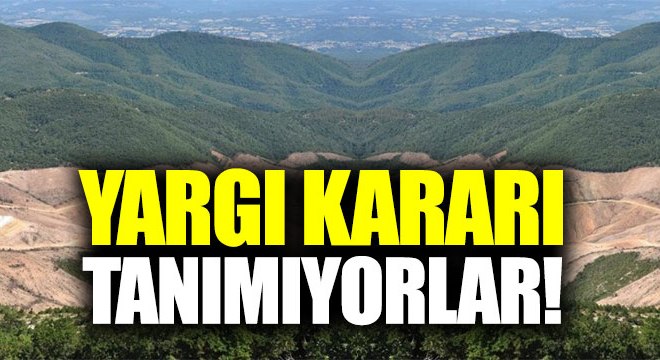 Kanada’dan Kaz Dağları’na ilişkin açıklama