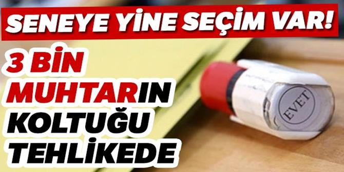 Binlerce muhtar için yeniden sandık