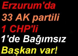 Bir muhalif başkan kaldı!