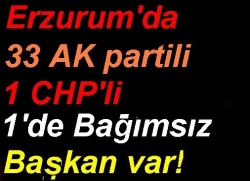 Bir muhalif başkan kaldı!