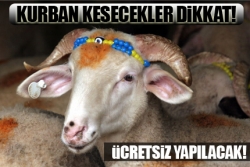 Kurban kesecekler dikkat!