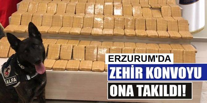 Erzurum'da 61,5 kilogram eroin ele geçirildi