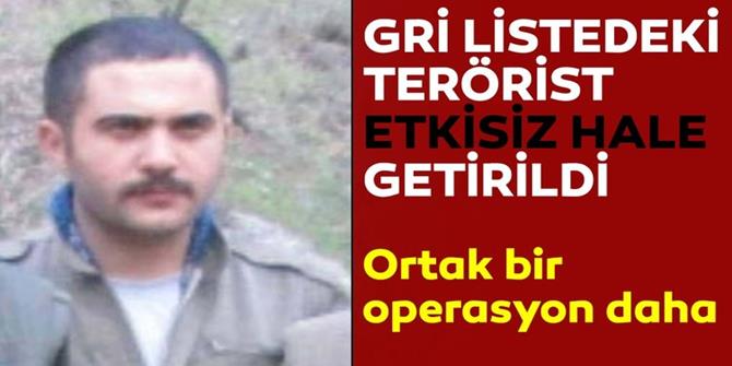 MİT-Jandarma ortak operasyonuyla Gri Liste'deki terörist öldürüldü