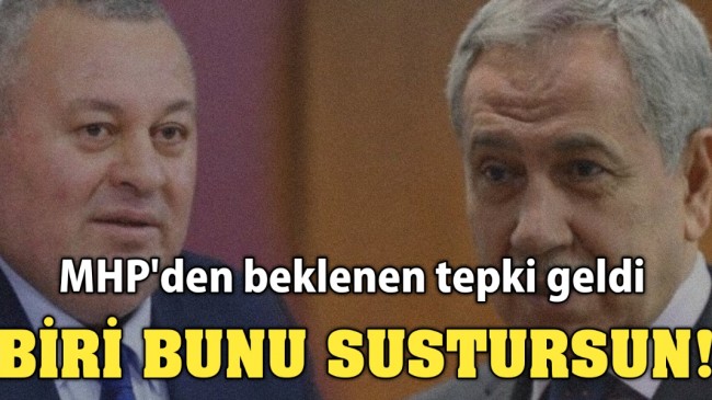 Arınç'tan Ahmet Türk yorumu: Terörle alakası yoktur, barış olsun isteyen biri