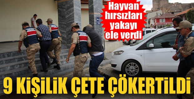 Hayvan hırsızlığı yapan 9 kişi yakalandı