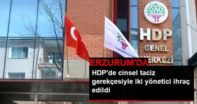 Tekman, HDP’de cinsel taciz ihracı