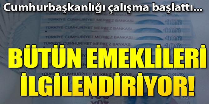 Cumhurbaşkanlığı harekete geçti! Faizsiz emeklilik sistemi...