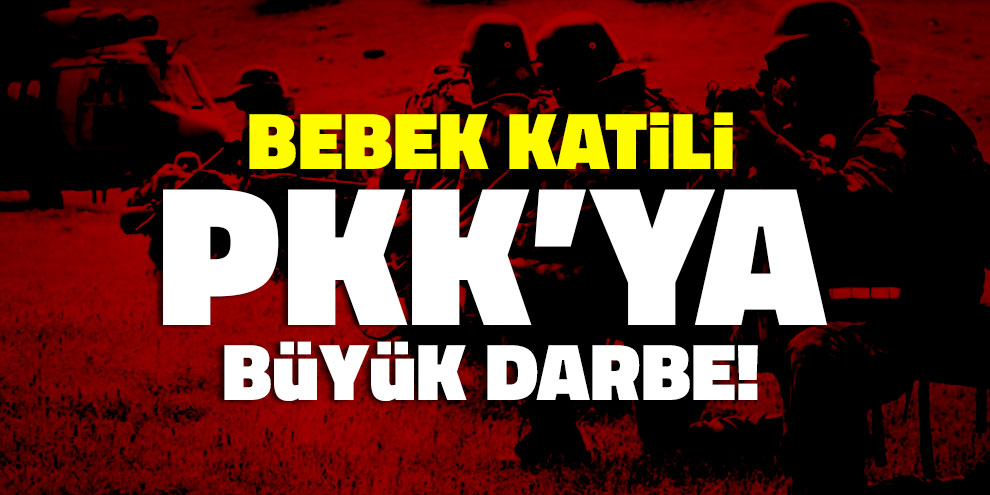 Bebek katili YPG/PKK'ya 'yaz darbesi'