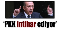 PKK intihar ediyor!