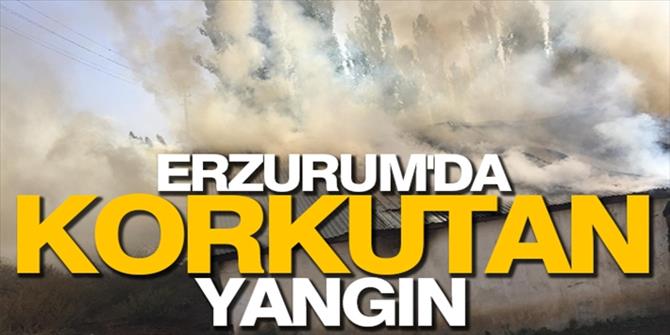 Erzurum'da hayvanların rızkını yaktılar