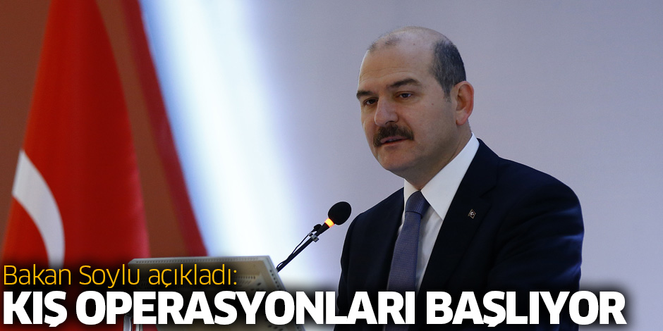 Bakan Soylu'dan operasyon açıklaması