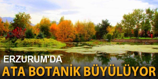 Erzurum'da sonbaharın eşsiz manzarası büyülüyor