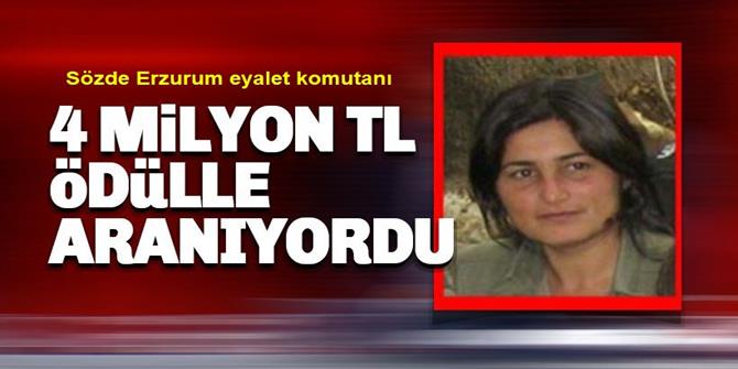 PKK yöneticisi kırmızı listedeki terörist Tunceli'de öldürüldü