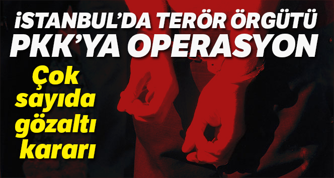 PKK'ya operasyon: 22 gözaltı