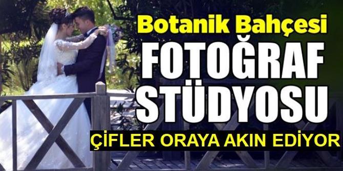 Botanik park evlenecek çiftlerin "fotoğraf stüdyosu" oldu