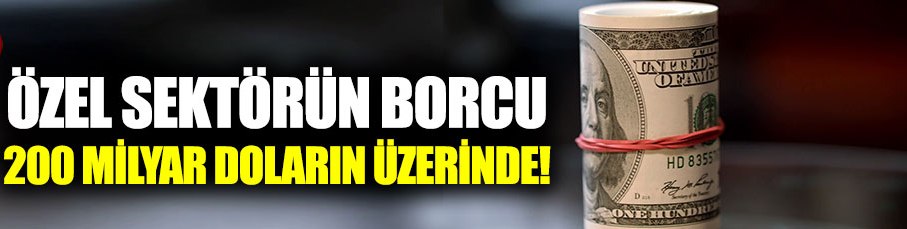 Özel sektörün yurt dışı borcu 208.4 milyar dolar