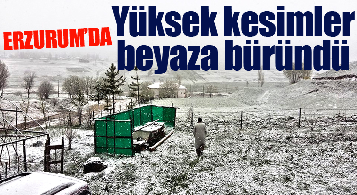 Erzurum’un yüksek kesimlerinde kar yağışı etkili oldu