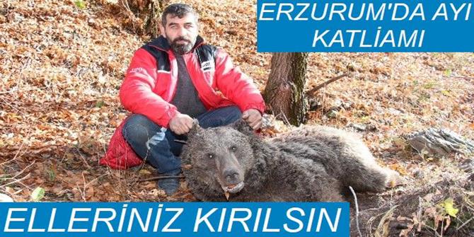 Erzurum'da boz ayıyı vurdular