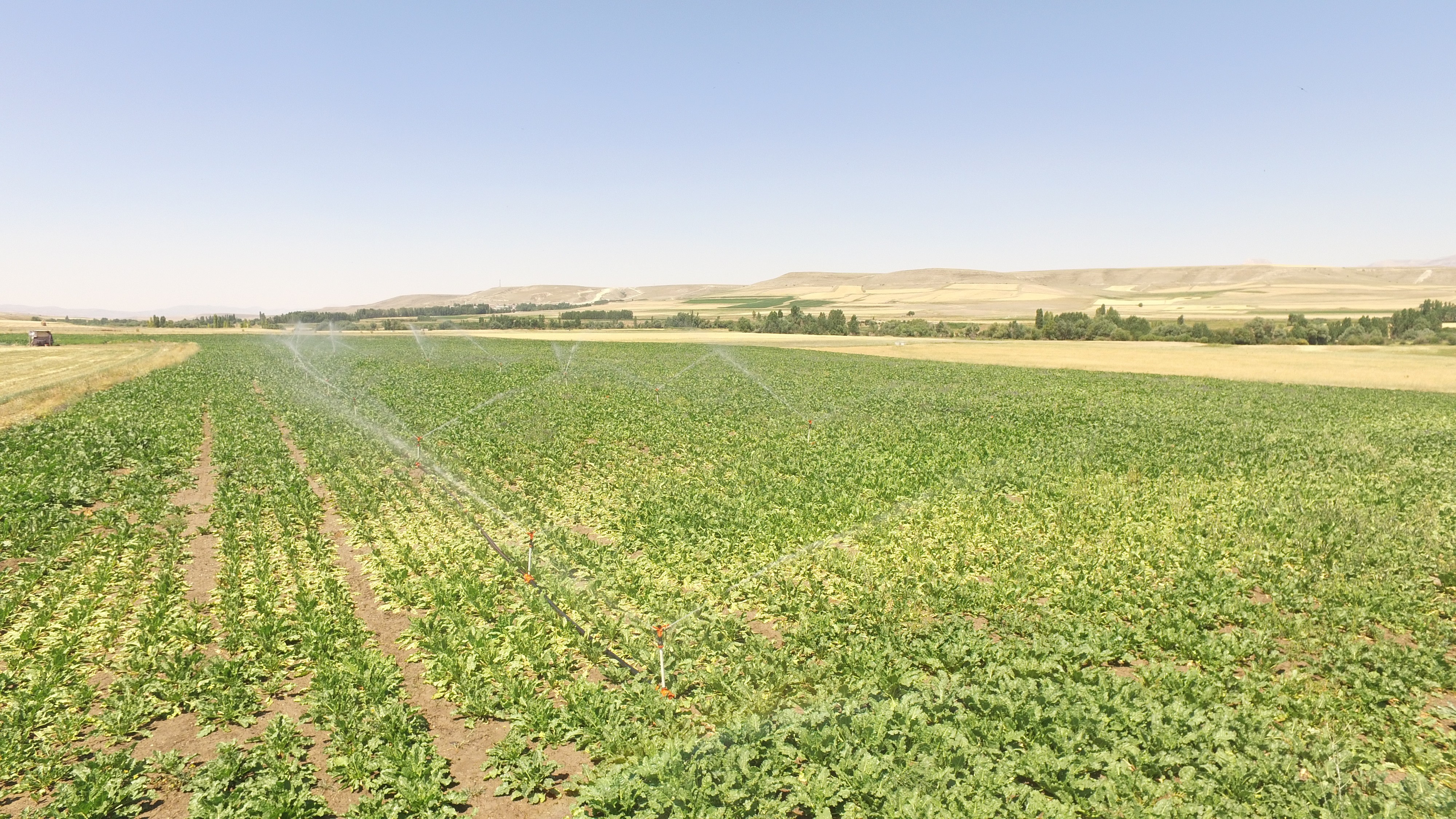 Erzurum’da 125 bin 500 dekar tarım arazisi sulandı