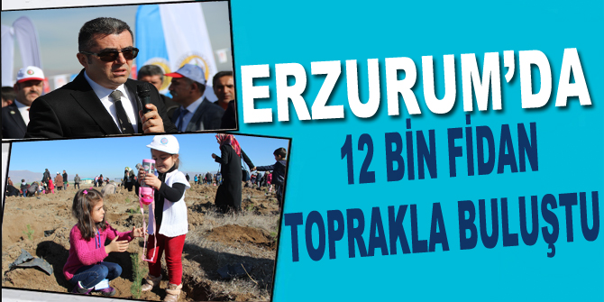 Erzurum’da 12 bin fidan toprakla buluştu