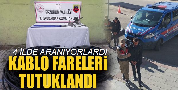 Trafo ve kablo hırsızları suçüstü yakalandı