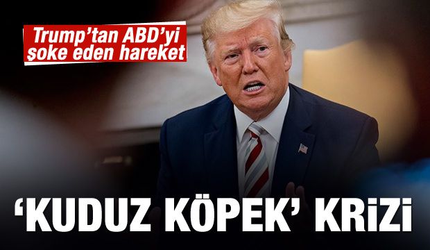 Trump'tan tepki çeken açıklama: Yavaş olabilir ama kuduz köpek değil